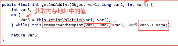 image-20220226145443370